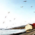 Costa da Morte, la imprescindible ruta por Galicia