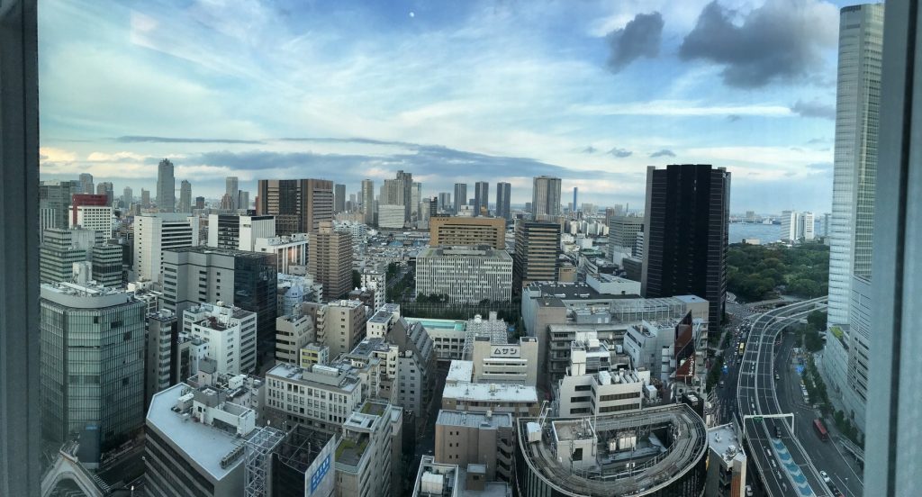 Mc Bauman en Japón: Vistas de Tokio.