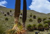 La Cordillera Blanca, en moto