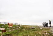 Monumento a la Vaca Pasiega