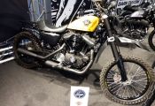 Motoh! Harley scrambler