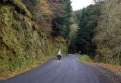 AUVERNIA BOSQUES