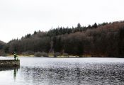 AUVERNIA LAGO
