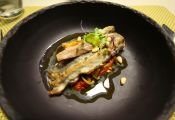 Vía de la Plata: Restaurante Succo, Plasencia.
