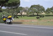 N-340, la carretera más larga de España