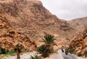 Roadventure Morocco Tour: gargantas del Todra