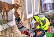 Roadventure Morocco Tour