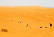 Roadventure Morocco Tour: en quad por Erg Chebbi