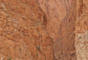 Roadventure Morocco Tour: garganta del Todra