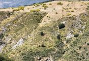 La Alpujarra en moto.