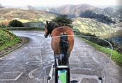Bajando del Angliru...